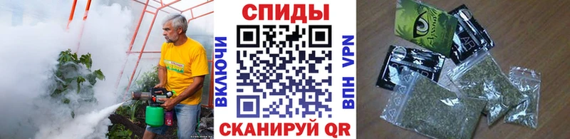 Бутират буратино Каргополь