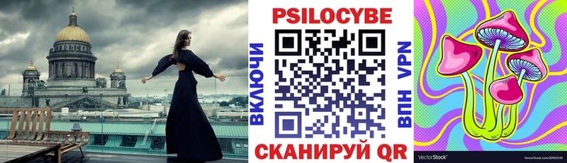 Галлюциногенные грибы Psilocybe  Каргополь 